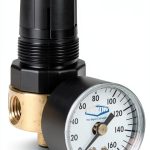Dixon R364-02CG 1/4" Brass Mini Regulator with Gauge-0
