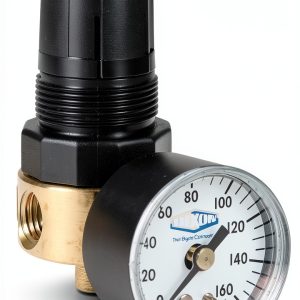 Dixon R364-02CG 1/4" Brass Mini Regulator with Gauge-0