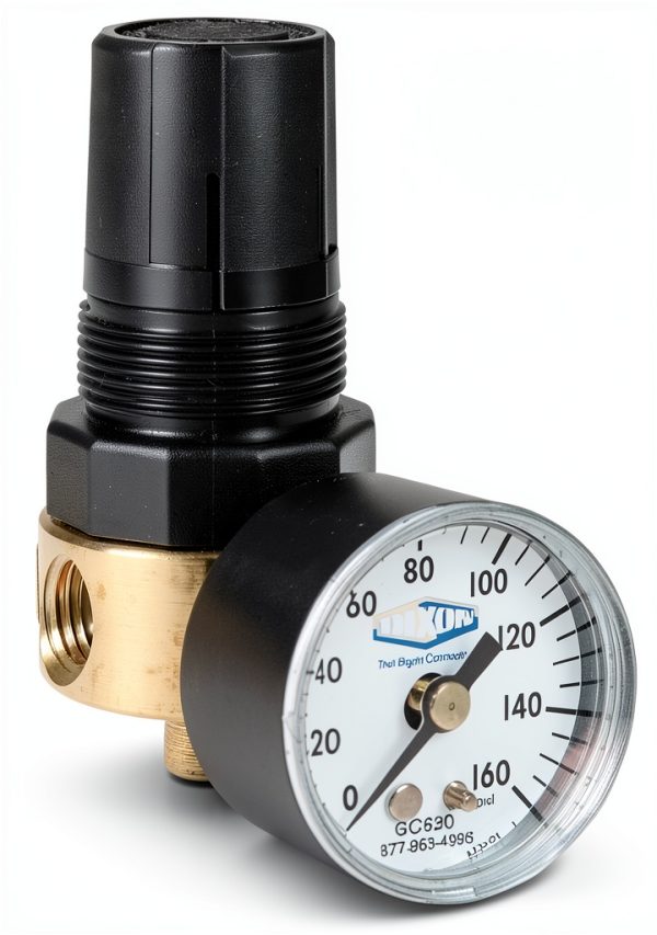 Dixon R364-02CG 1/4" Brass Mini Regulator with Gauge-0