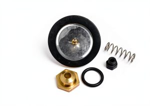 Regulator Kit 13142 for CB 500 Series Clean Burn Burners Eco Heat-0